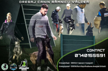 Dresaj Canin Slatina