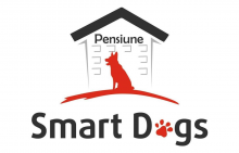 Medias - Dresaj Canin Medias Smart Dogs Club