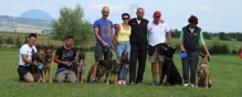 Pitesti - Dresaj Canin Pitesti - Smart Dogs Club