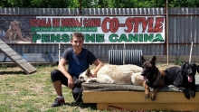Dresaj Caine Arad Dresaj & Pensiune Canina Co-Style ARAD