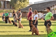 Dresaj Caine Predeal Dresaj Canin Predeal - Smart Dogs Club