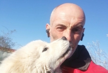 Dresaj Caine Comarnic Dresaj Canin Comarnic Smart Dogs Club