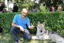 Dresaj Caine Popesti-Leordeni Dresaj Canin Popesti Leordeni Smart Dogs Club
