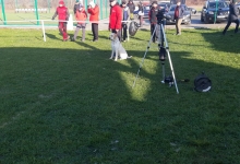 Dresaj Caine Brasov Dresaj Canin Brasov - Smart Dogs Club 