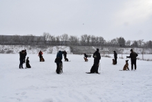 Dresaj Caine Brasov Dresaj Canin Brasov - Smart Dogs Club 