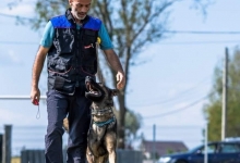 Dresaj Caine Sinaia Dresaj Caini Sinaia - Smart Dogs Club