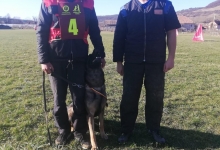 Dresaj Caine Sinaia Dresaj Caini Sinaia - Smart Dogs Club