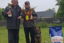 Dresaj Caine Brasov Dresaj Canin Brasov - Smart Dogs Club 