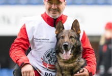 Dresaj Caine Brasov Dresaj Canin Brasov - Smart Dogs Club 