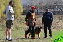 Dresaj Caine Brasov Dresaj Canin Brasov - Smart Dogs Club 