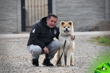 Dresaj Caine Brasov Dresaj Canin Brasov - Smart Dogs Club 