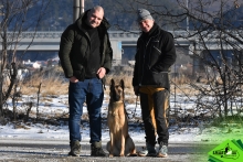 Dresaj Caine Brasov Dresaj Canin Brasov - Smart Dogs Club 