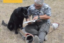 Dresaj Caine Bucuresti-Sector 1 Smart Dogs Club Bucuresti