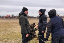 Dresaj Caine Domnesti Julius CLUB DRESAJ - Dresaj Canin Domnesti