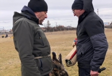 Dresaj Caine Domnesti Julius CLUB DRESAJ - Dresaj Canin Domnesti