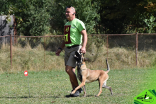 Dresaj Caine Targu Secuiesc Dresaj Canin Targu Secuiesc Smart Dogs Club