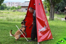 Dresaj Caine Valenii de Munte Dresaj Canin Valenii de Munte Smart Dogs Club