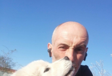 Dresaj Caine Mioveni Dresaj Canin Mioveni Smart Dogs Club