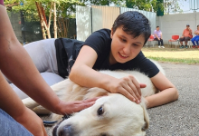 Fotografia 3 — Hotel Dresaj Canin Bucuresti - DOGTORS - By Asociația Magidream