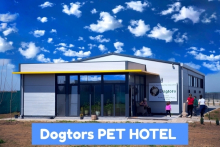 Dresaj Caine Bucuresti-Sector 2 Hotel Dresaj Canin Bucuresti - DOGTORS - By Asociația Magidream